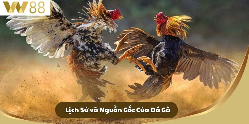 Đá Gà W88 - Hành Trình Đầy Hấp Dẫn Và Kịch Tính 1 Lịch Sử và Nguồn Gốc Của Đá Gà
