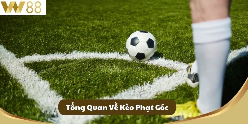 Kèo Phạt Góc - Bóng Đá Đỉnh Cao Dành Cho Tân Thủ Tại W88 2 Tổng Quan Về Kèo Phạt Góc