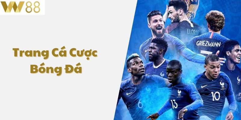 Trang Cá Cược Bóng Đá W88 Uy Tín Số 1 Năm 2025 1 Trang cá cược bóng đá