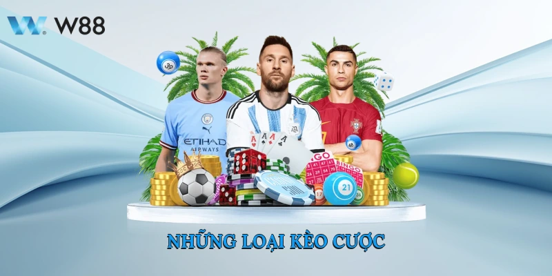 Cách Đọc Kèo Nhà Cái Cực Chuẩn Kiếm Tiền Cực Ngon Tại W88 3 Những loại kèo cược